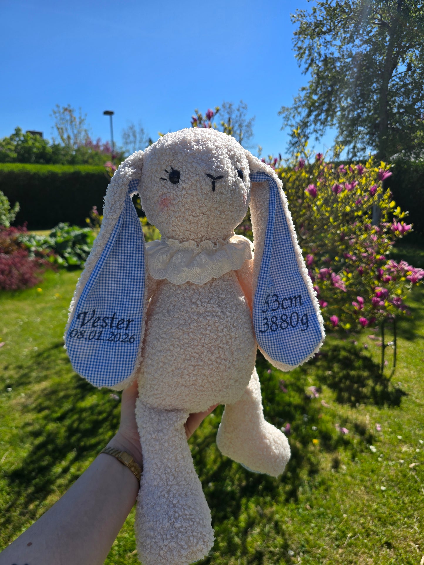 Minde Kanin i Teddy