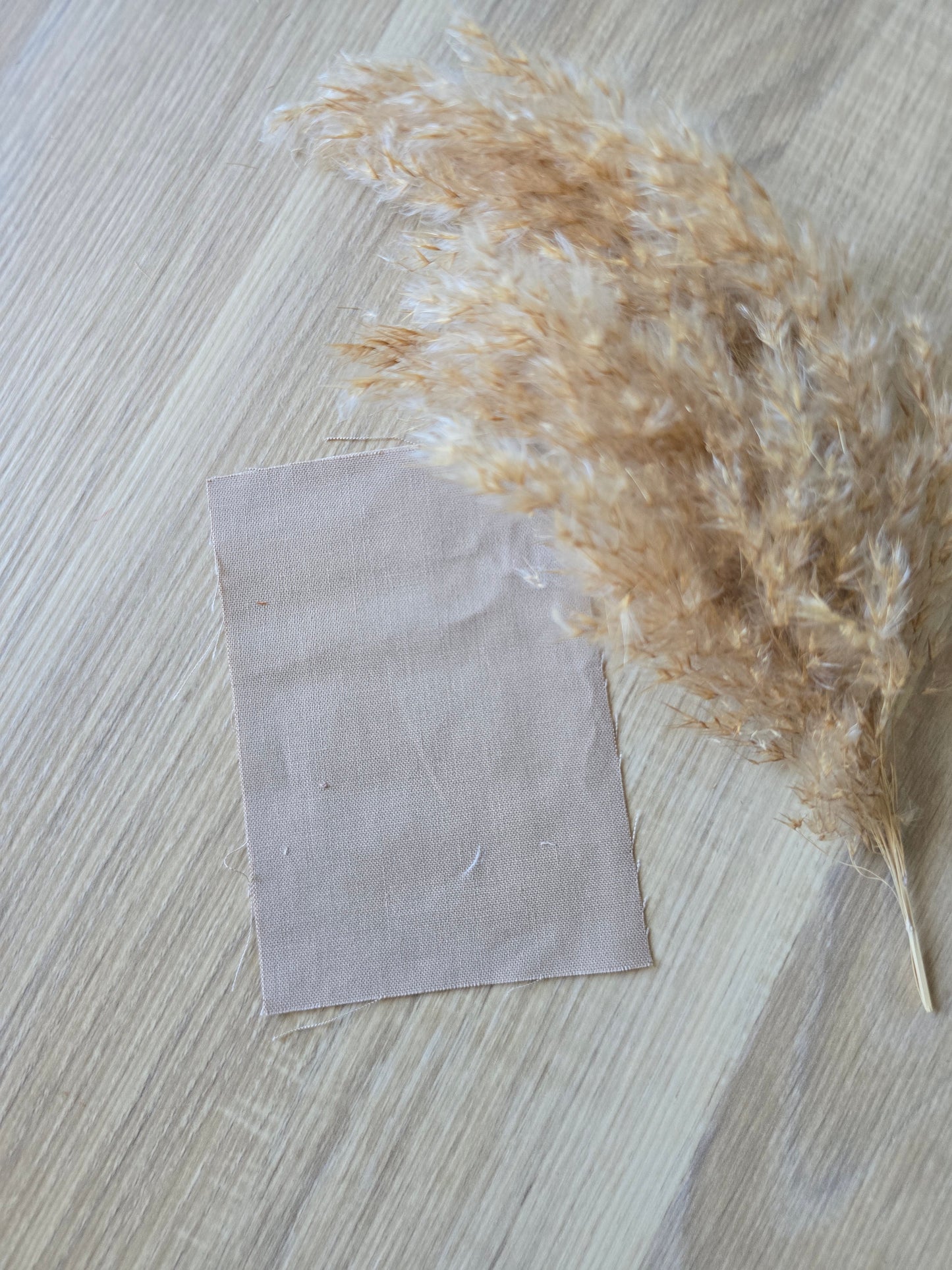 Lys beige (16)
