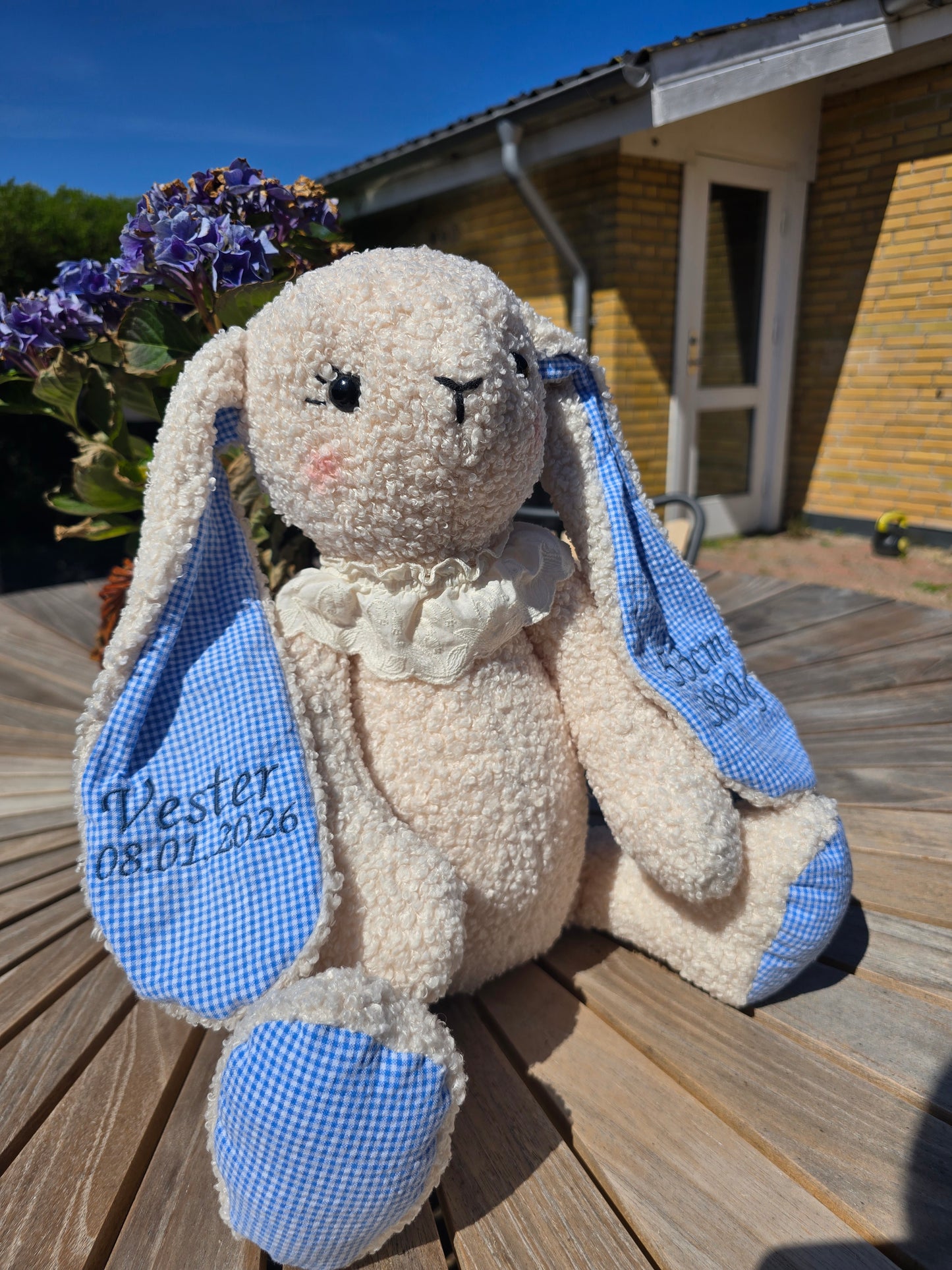 Minde Kanin i Teddy