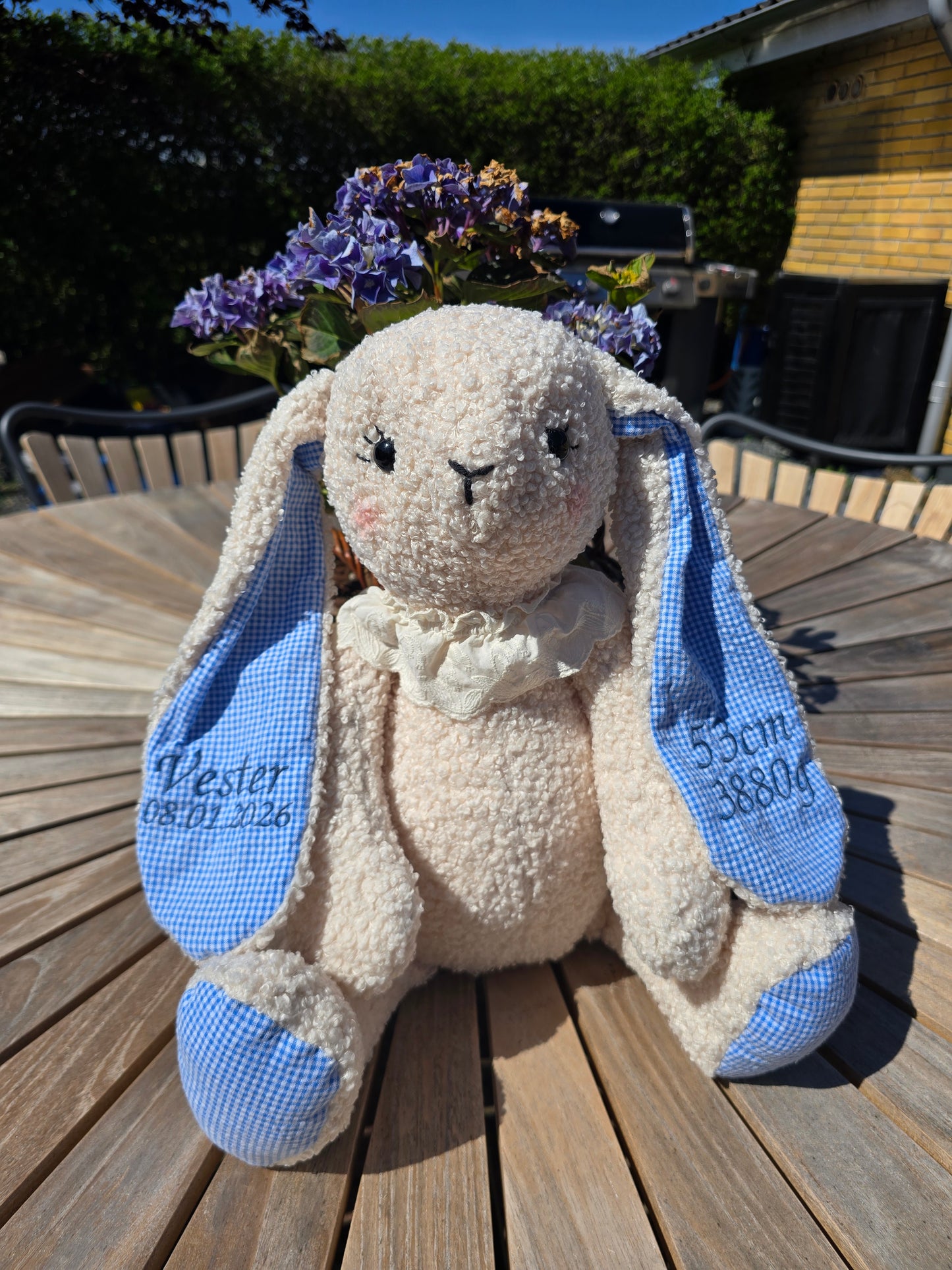 Minde Kanin i Teddy